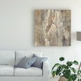 thumbnail image 3 of Trademark Fine Art 'Silver Ii' Canvas Art by Albena Hristova, 3 of 3