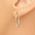 thumbnail image 3 of Primal Gold 14 Karat Yellow Gold and Rhodium Satin Diamond-cut Twisted Hoop Earrings, 3 of 6