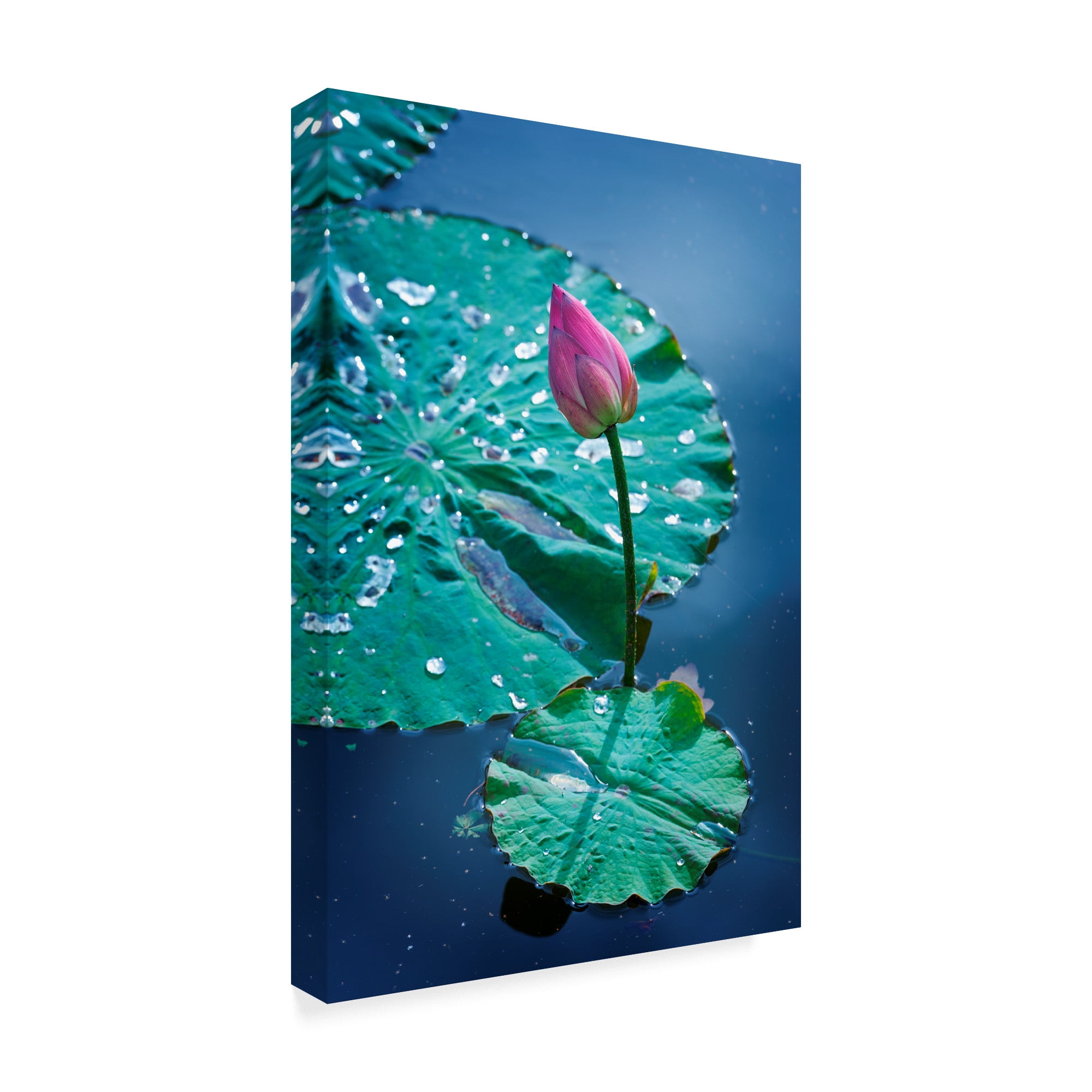 Trademark Fine Art 'Circle Seven' Canvas Art by Philippe Sainte-Laudy