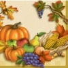 Thanksgiving Decorations - Fall Harvest Lunch Napkins - Fall Theme Napkins - 16 Count