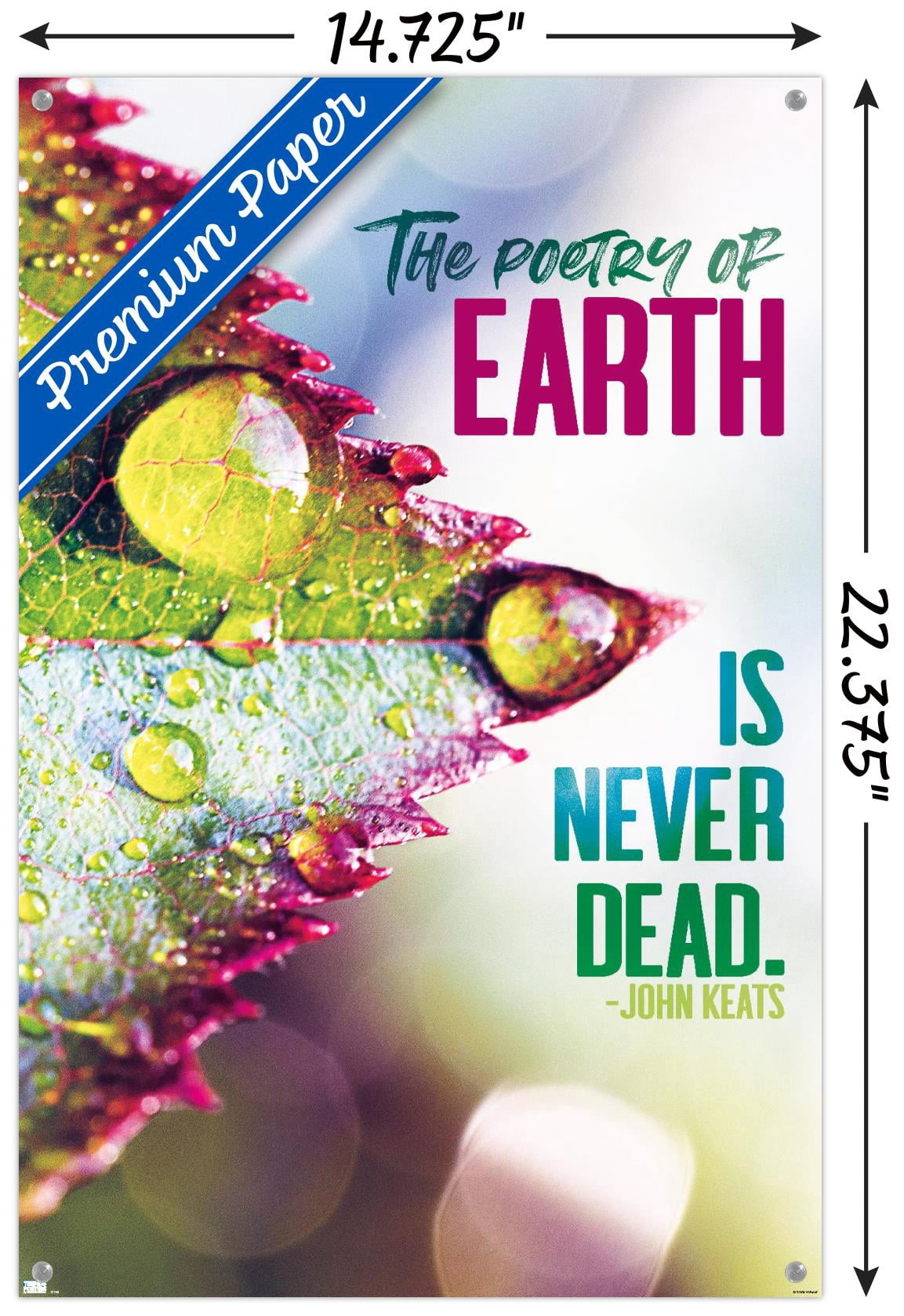Tara Robinson - Keats Wall Poster with Pushpins, 14.725" x 22.375"