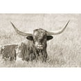 thumbnail image 3 of Schell, Jennie Marie 18x13 Black Modern Framed Museum Art Print Titled - Longhorn Bull Sepia, 3 of 5