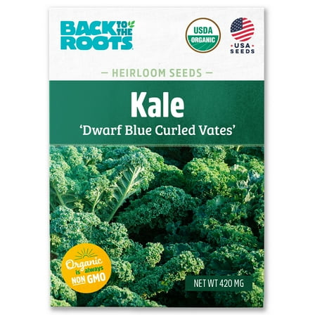 Back to the Roots Organic Kale 'Vates', 1 Seed packet