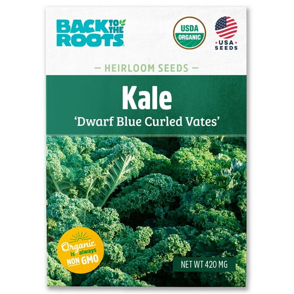 Back to the Roots Organic Kale 'Vates', 1 Seed packet