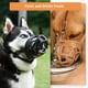 thumbnail image 4 of Bozal para Perros, Bozal Tipo Cesta para Morder, Masticar y Hurgar, de Jaula Humanitario L, 4 of 5