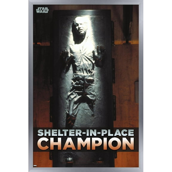 Star Wars: Saga - Han Solo - Shelter In Place Wall Poster, 22.375" x 34", Framed