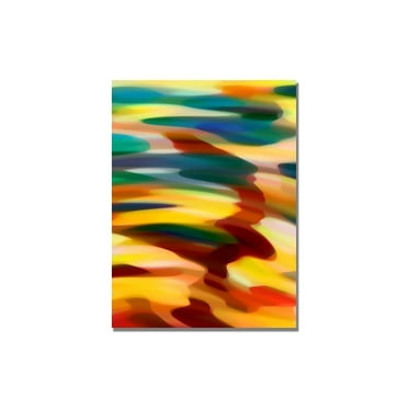 Trademark Fine Art "Color Fury" Canvas Wall Art by Amy Vangsgard