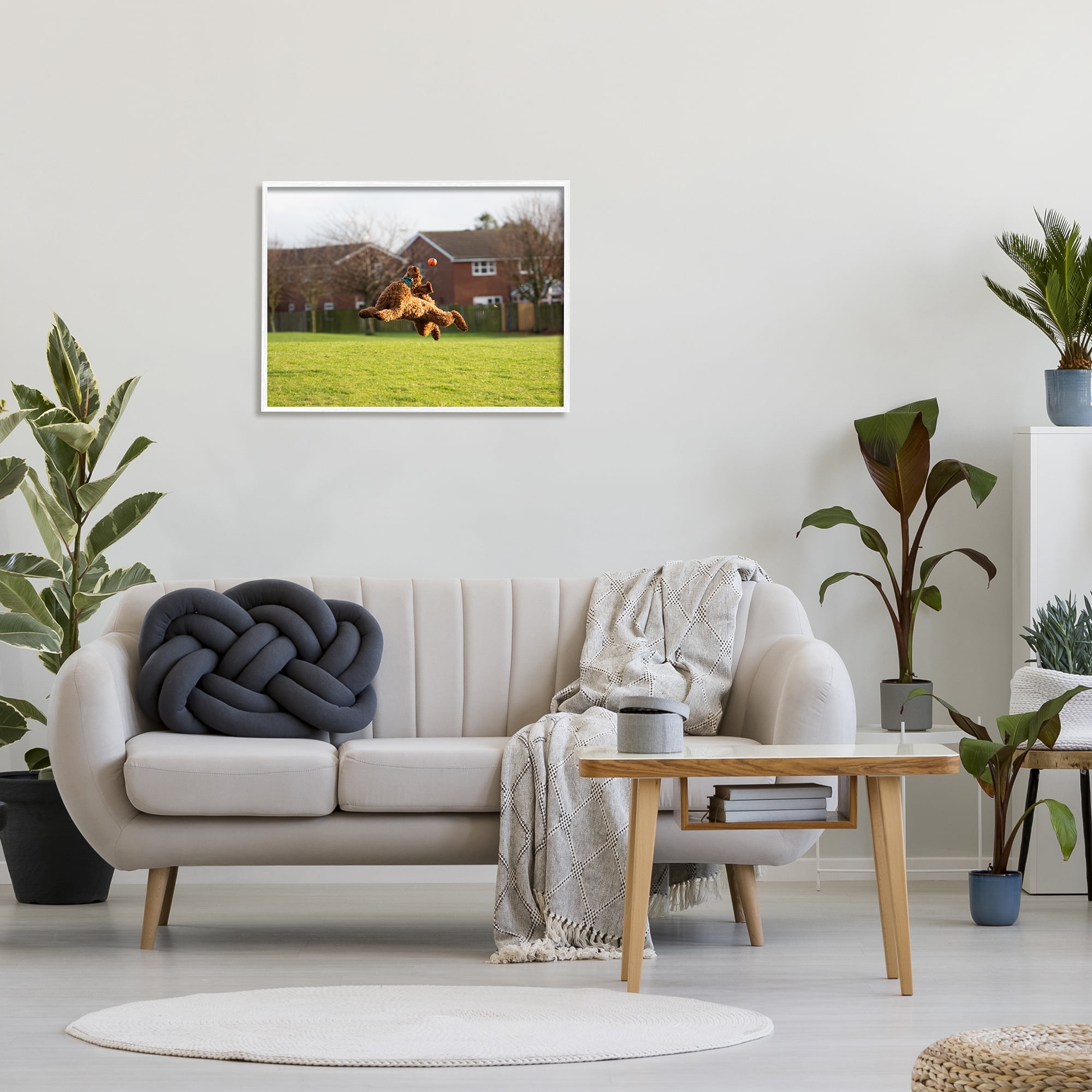 Stupell Industries Eye on the Ball Dog Animals & Insects Photography White Framed Art Print Wall Art, 30 x 24