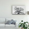 thumbnail image 3 of Trademark Fine Art 'Grand Oak Tree I' Canvas Art by Rachel Perry, 3 of 3