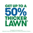 thumbnail image 4 of Scotts Turf Builder Thick'R Lawn Sun and Shade, Thickens Thin Grass, 12 lbs., 4 of 14