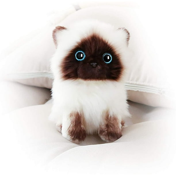 Plush Siamese Cat Doll Stuffed Animal Toy, Simulation Fluffy Siamese Cat  Cute Sequins Eyes Rag Doll, Kids Adults Bedroom Decoration Ornament, Kawaii  Cat Plush Doll Holiday Birthday Gift (Height 7.8in) 