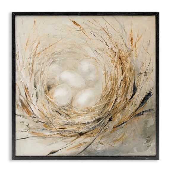 Stupell Industries Transitional Abstract Bird Egg Nest Black Framed Giclee Art, 12 x 12, by Dina D'Argo