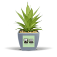thumbnail image 1 of Old Computer Notebook Art Deco  Fashion Fake Pineapple Flower Pot Vase Mini Decor, 1 of 3