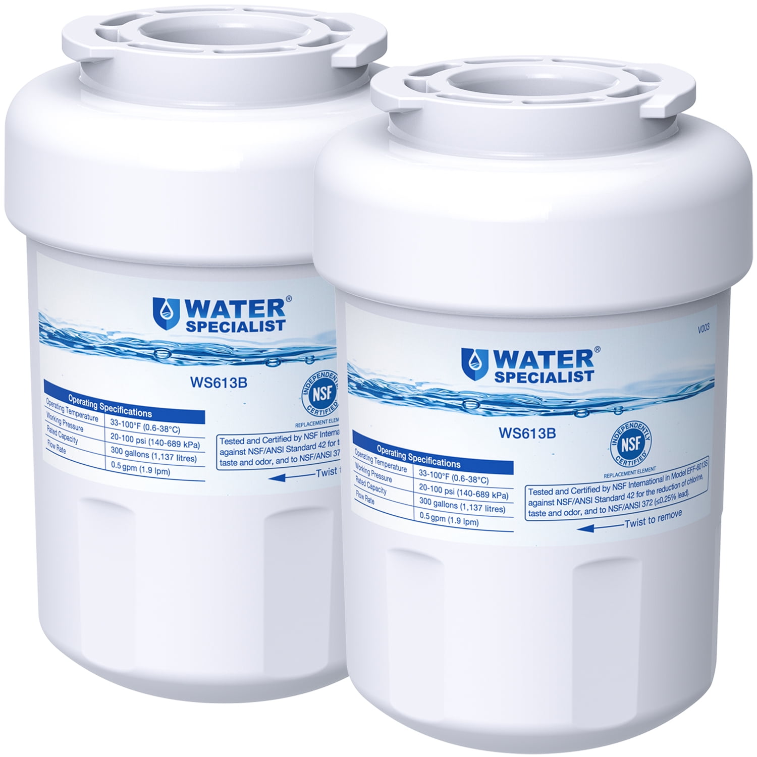 Waterspecialist MWF Refrigerator Water Filter, Replacement for GE Smart