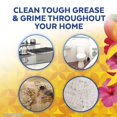 thumbnail image 3 of Cleaner Lysol, desinfectante y desinfectante multiusos, 946 ml, mango, 3 of 5