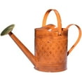 thumbnail image 4 of Robert Allen Home and Garden Wexley 2-Gallon Watering Can, 4 of 4