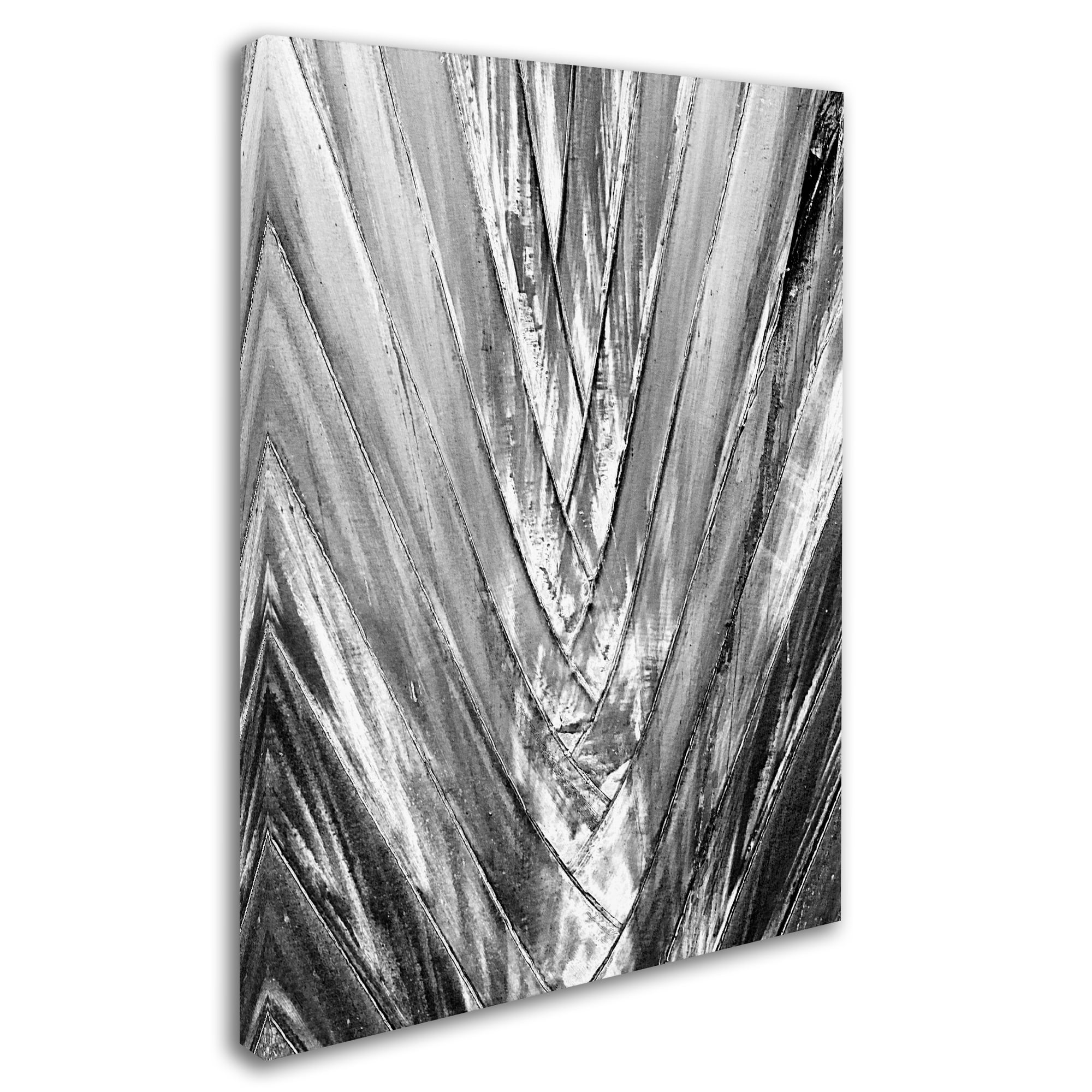 Trademark Fine Art 'Black and White Palm 4' Canvas Art by Patty Tuggle