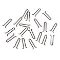 thumbnail image 4 of 20 piezas de material acero pesca terminal aparejos accesorios de pesca negro Zulema Trastos de la terminal de la pesca de la carpa, 4 of 6