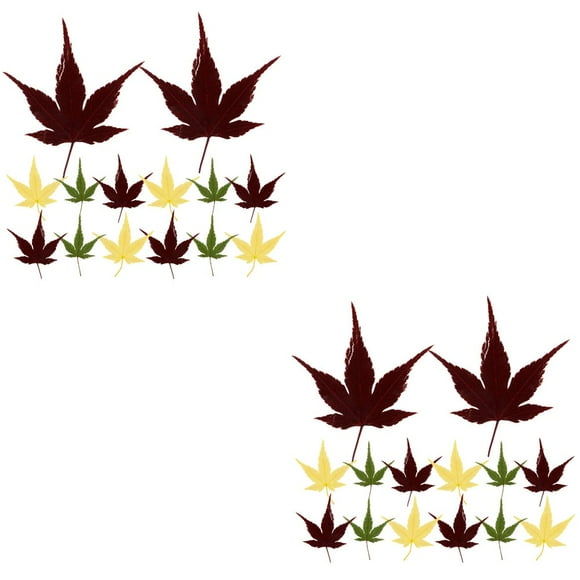 LEEYNEER60 pcs Japanese Sushi Maple Leaf Prop Natural Maple Leaf Ornament Sashimi Mats
