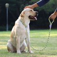 thumbnail image 3 of 150cm Adjustable Pet Walking Training Leash Wear-resistant Reflective Leads Rope For Medium Large Dogs brown leather orange + gray M-medium-sized dog, 3 of 5