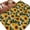 Turmeric Light Beige, variant on Sunflower Area Rugs 4'x6', Washable Small Throw Rugs for Office Bathroom, Vintage Spring Floral Botanical Yellow Green Indoor Outdoor Rug Non-Slip Low Pile Carpet Runner Reversible Floor Mats