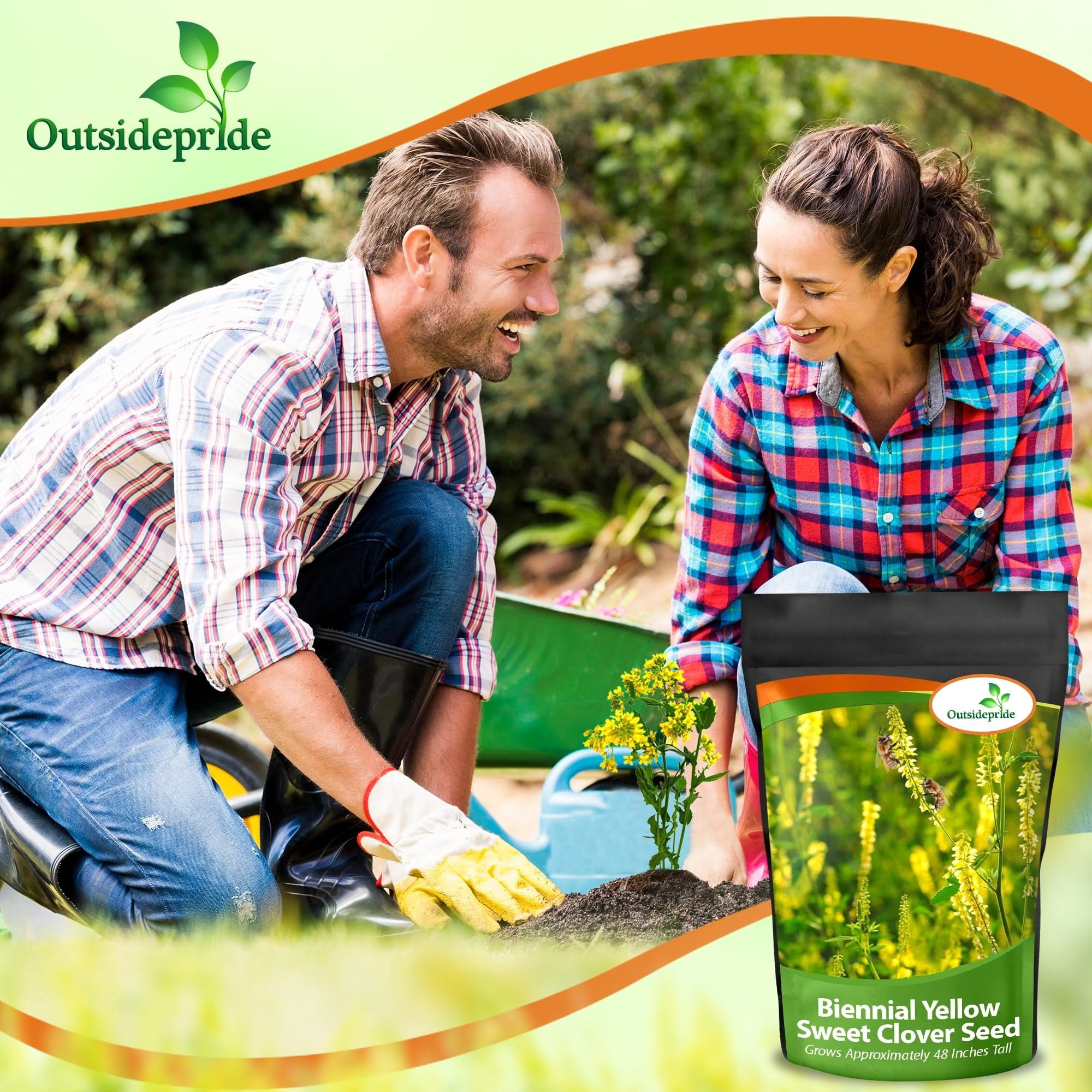 Outsidepride Yellow Sweet Clover Seed: Nitro-Coated, Inoculated - 10 LBS