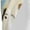 White, variant on pirate with sailing Print Women's Sports Shorts with Drawstring Elastic Waistband for Running, Yoga, Fitness-Medium