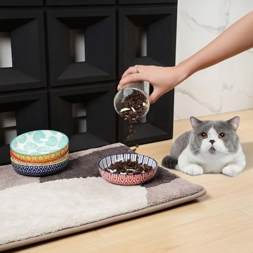 Ceramic Cat Food Bowl Set of 4, 5.6 Inch Wide Shallow Cat Bowls/Dishes for Food and Water, Assorted Colors