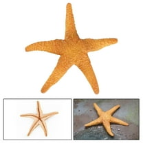 CxhicLuv Realistic Sea Animals Simulation Figurines, Hand-Painted ABS Marine Life Toys, Educational Ocean Animal Models for Kids, Perfect Gift for Children’s Room & Playtime Fun