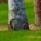 thumbnail image 4 of Yuarrent Piedra conmemorativa de duelo Piedras decorativas en forma de corazón Adorno Regalos de simpatía Accesorio Pasillo doméstico Jardín y Patio Árbol Tamaño 20x20cm, 4 of 6