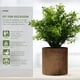 thumbnail image 2 of GOOHOCHY Simulación de planta artificial planta verde bonsai para sala de estar para sala de estar, 2 of 8