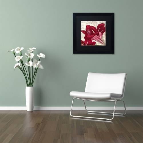 Trademark Fine Art "Amaryllis " Canvas Art by Color Bakery Black Matte, Black Frame