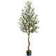 thumbnail image 1 of QinaQin Árbol de olivo artificial alto de 4/5/6 pies, planta de seda en maceta con tronco de madera y frutos realistas para decoración interior del hogar u oficina, 1 of 6