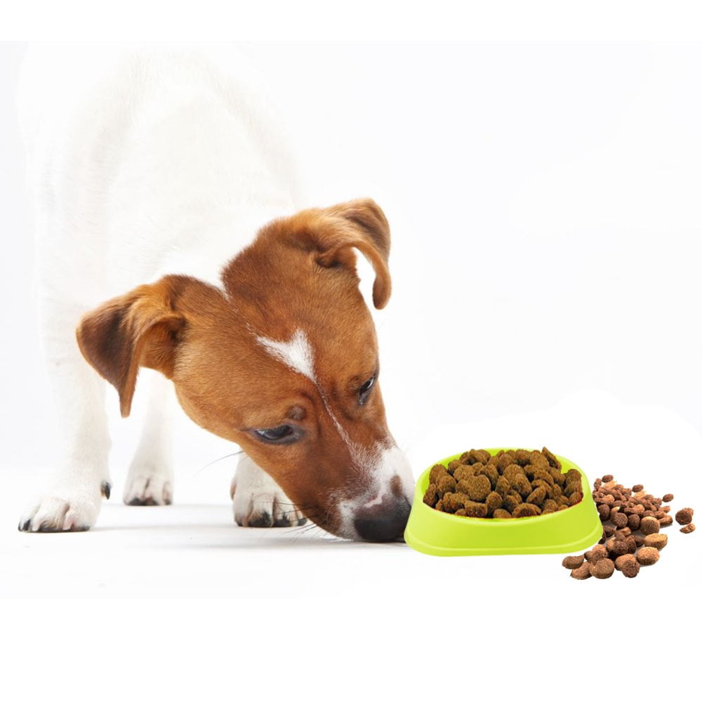 dog food bowl for fast eaters