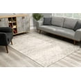 thumbnail image 5 of 2â€™ x 5â€™ Ivory Distressed Ikat Pattern Area Rug, 5 of 15
