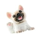 thumbnail image 5 of Estatua de perro, colección de esculturas de perro, mini estatua de resina de simulación, figuras de animales Doguillo, 5 of 9