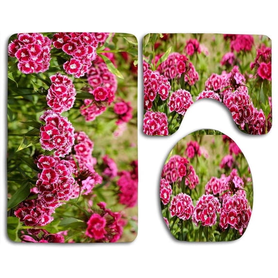 GOHAO Sweet William Flowers 3 Piece Bathroom Rugs Set Bath Rug Contour Mat and Toilet Lid Cover