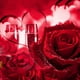 thumbnail image 3 of Rosa roja bañada en tallo largo, Love Forever, regalo artesanal de tallo largo, rosa bañada en oro, apariencia llamativa, 3 of 12