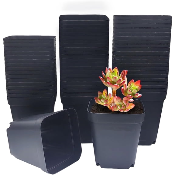 QZS 50Pcs Square Seed Nursery Pot,2.2x2.4x1.6In Seed Starting Black Planter with Drain Hole,Durable Plastic Nursery Pots for Indoor and Outdoor Plants