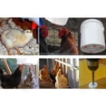 thumbnail image 3 of 150Pcs Poultry Chicken Nipple Drinker Spring Type Bird with Automatic Water Dispenser Chicken Mouth Bird Drinking Water, 3 of 7