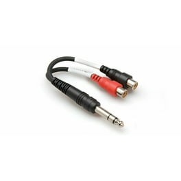 Senor Cables 3.5mm To Dual 1/4" Mono Breakout Cable - 10 Feet, Pack Of 2, For Studio & DJ