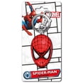 thumbnail image 2 of Llavero Marvel con cabeza de Spider-Man, color peltre, 2 of 2
