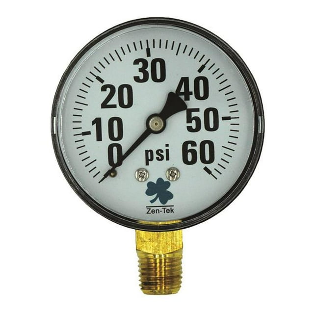 Zenport Industries DPG30-10PK Manomètre à Air Sec 0-30 PSI - Pack de 10