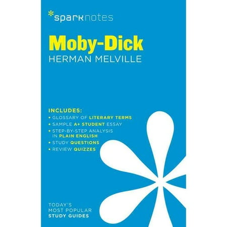 essays on moby
