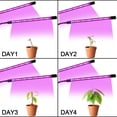 thumbnail image 3 of ER Planta Flor Suculenta Crecer Luz LED USB Clip Sincronización de velocidad completa oso de fresa Electrónica, 3 of 5