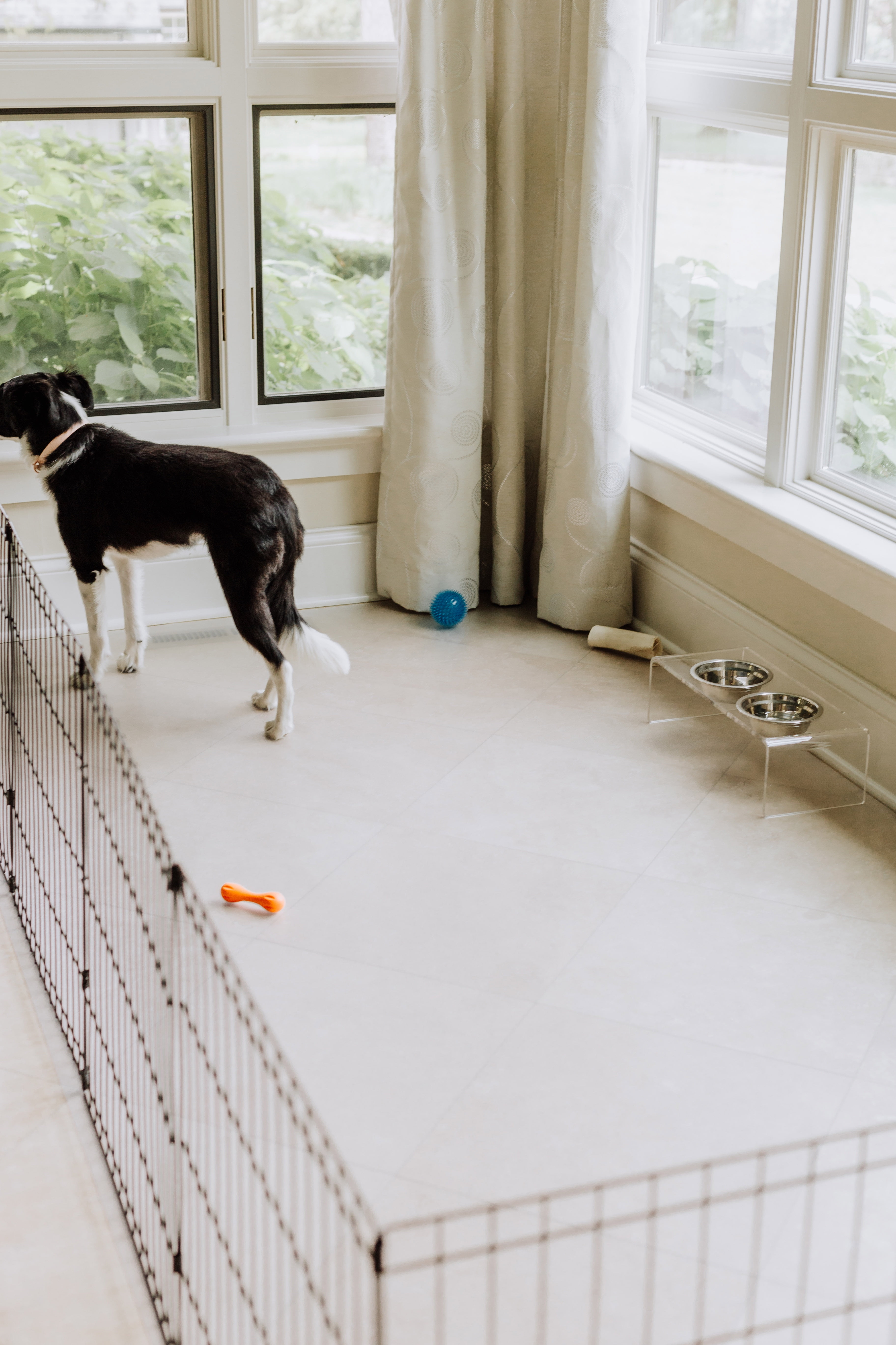 G-Floor 5' x 10' Polyvinyl Ceramic Pet Friendly Carpet Protector - Clear
