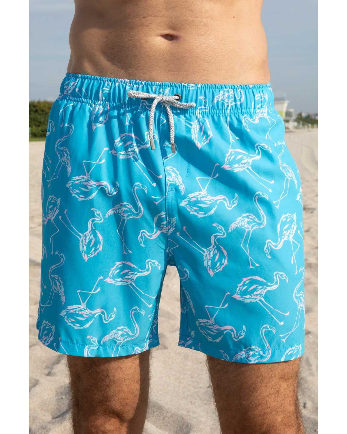 Boys Swim Shorts Dry Fast 4 Ways Stretch Swimming Trunks with Fun Designs, Flamingo Aqua, Size: 4, Endless Summer
