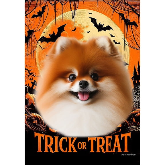 Pomeranian Red - Best of Breed  Halloween House Flag 28" x 40"