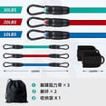 thumbnail image 5 of Juego de bandas de resistencia para tobillos, banda de tubo para tobillos ajustable, 60 lb, tres bandas de resistencia de diferentes libras, ejercicios de retroceso y glúteos, bandas de resistencia, 5 of 5