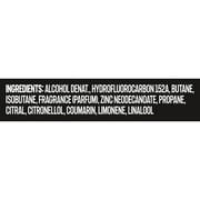 The Axe Can Body Spray, 4 oz